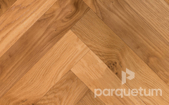 Инженерная доска Gran Parte Дуб Бискотти