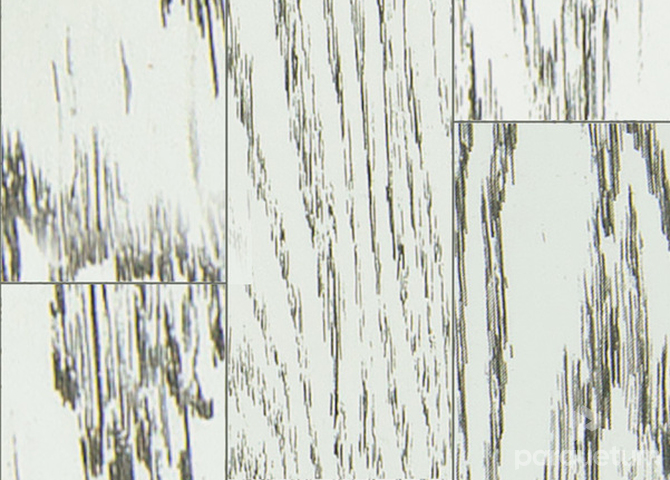 Фото №1 - Инженерная доска Gran Parte Дуб Милан