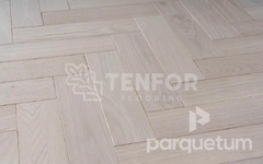 Паркетная доска Tenfor Prima - Ясень GREY SAND