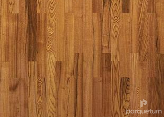 Фото №1 - Паркетная доска Tarkett SALSA - Ясень Мускатный 3-полосный