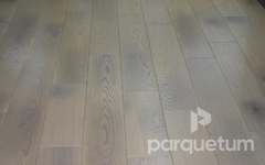 VP Экомассив Японская Дуб Бонсай