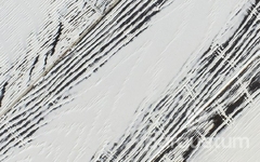 VP Массивная доска Модерн Дуб альпы