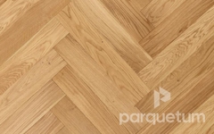 Инженерная доска Primavera Oak Cono Натур